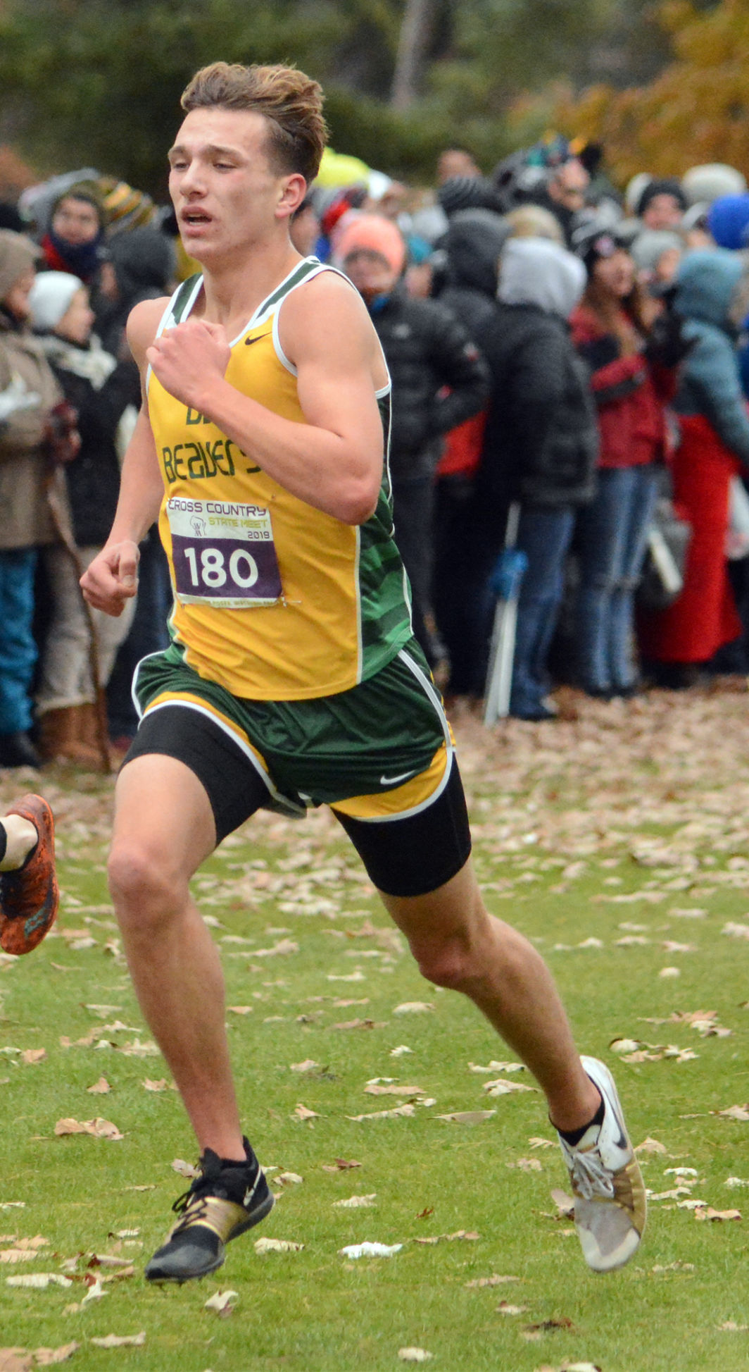 Gavin Czarnecki 7.jpg